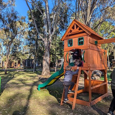 Tiny House 11 At Grampians Edge Vila Dadswells Bridge Exterior foto