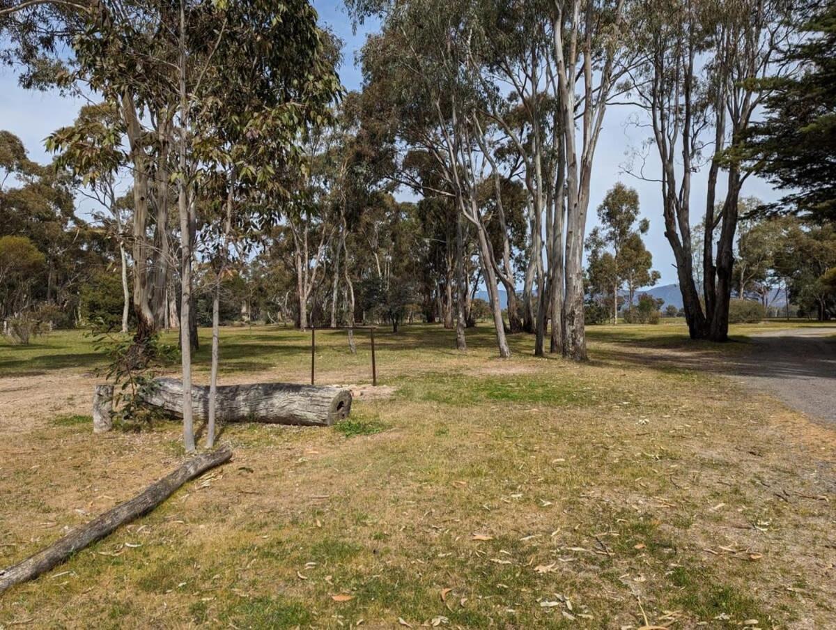 Tiny House 11 At Grampians Edge Vila Dadswells Bridge Exterior foto